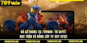 Đá Gà Mang Tại 789win - Bí Quyết Đọc Trận Và Nâng Cấp Tư Duy Cược