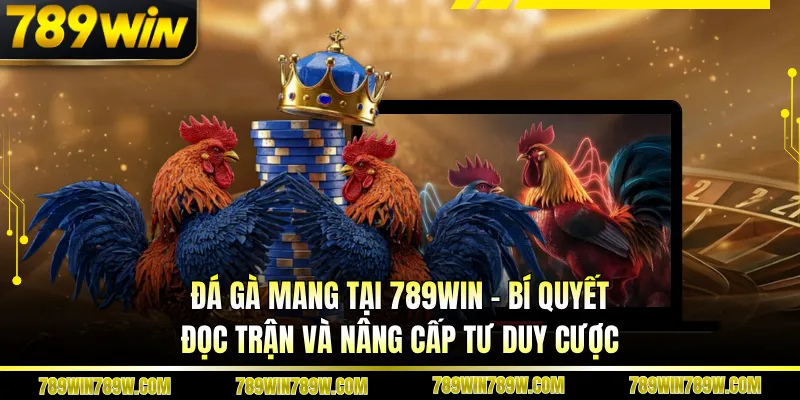 Đá Gà Mang Tại 789win - Bí Quyết Đọc Trận Và Nâng Cấp Tư Duy Cược