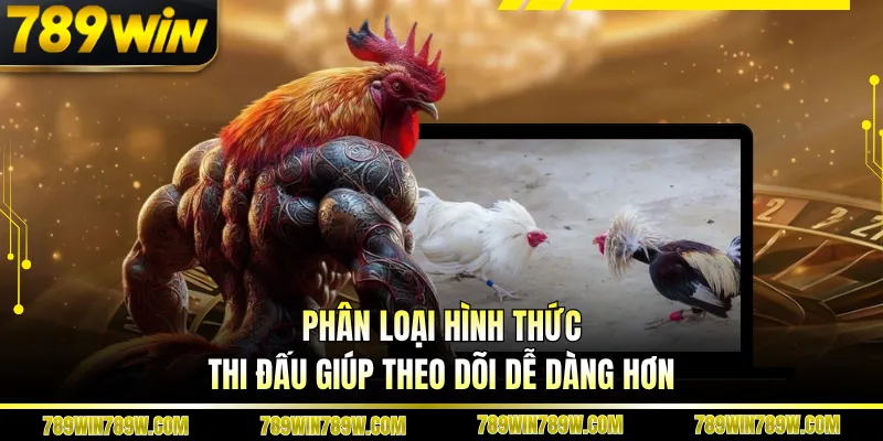 Phân loại hình thức thi đấu giúp theo dõi dễ dàng hơn