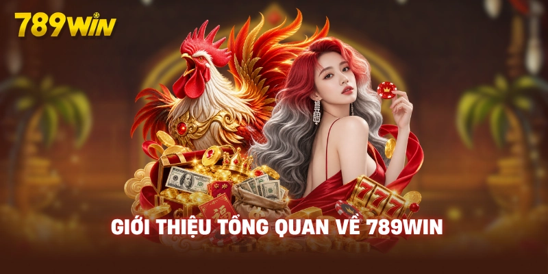789WIN Slot – Link Vào 789WIN.COM Uy Tín 2026 - Tặng 789K 21 gioi-thieu-tong-quan-ve-789win